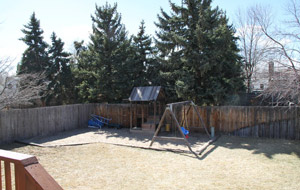 back yard in Loveland